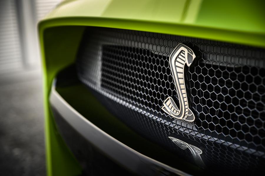 Логотип Shelby Mustang GT500 by Peicher 2020 года  (фото 9 из 26)